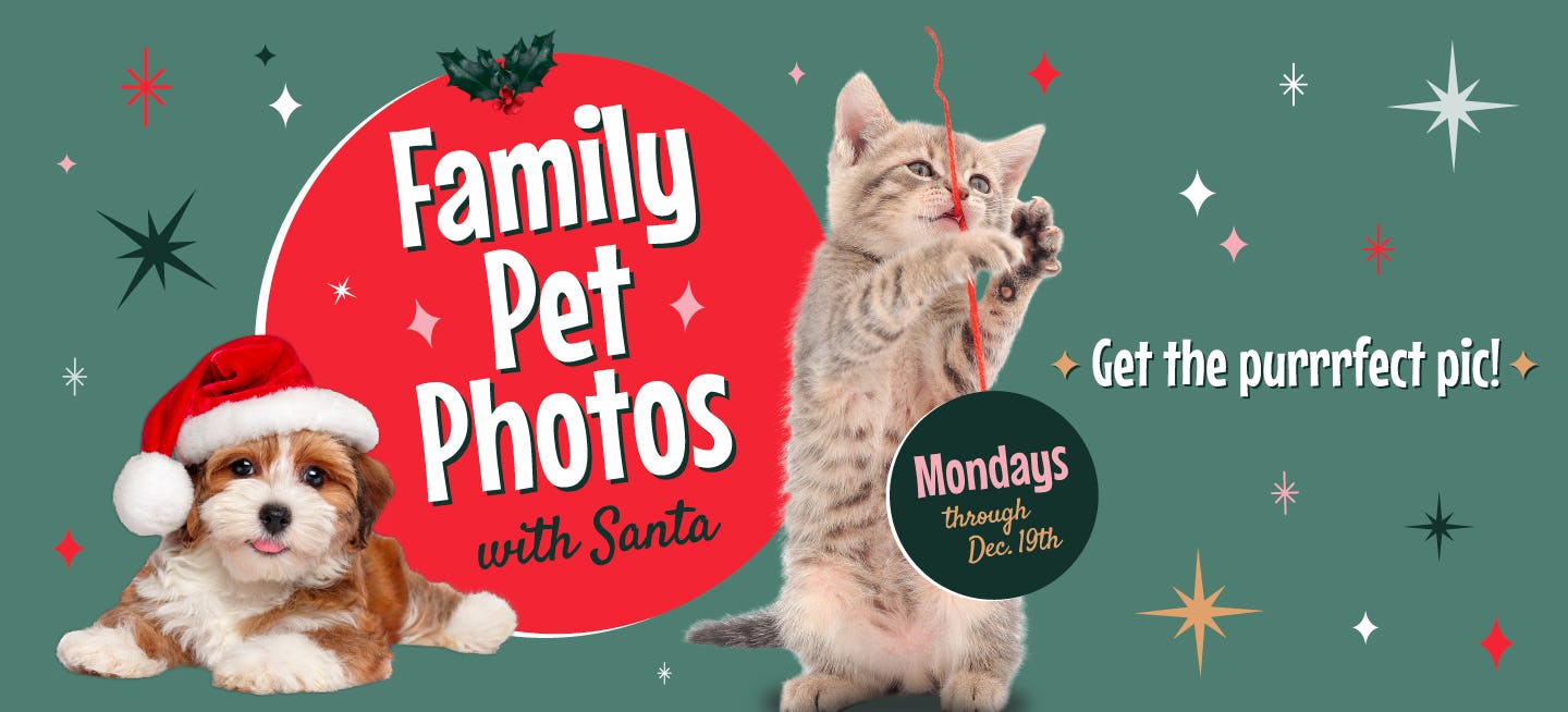 Woodland Mall Grand Rapids MI