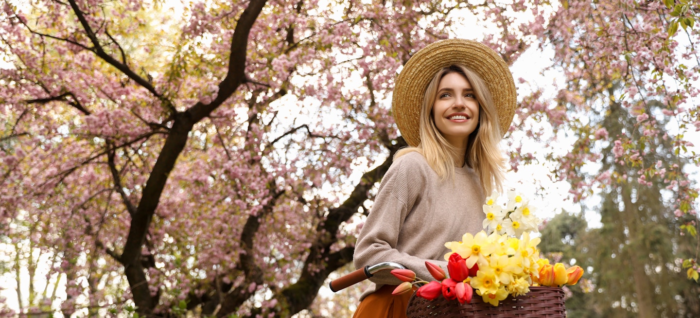 Brass Mill Center Waterbury CT