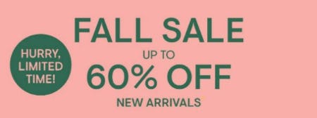 Fall Sale Up to 60% Off