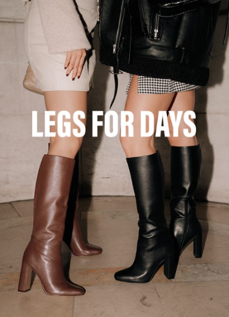 Ally Boot at Steve Madden | Perimeter Mall