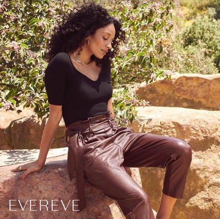 Vegan Leather That Goes With the Flow from Evereve