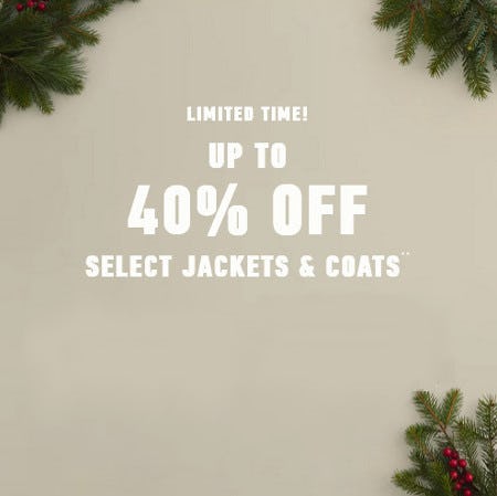 hollister christmas sale