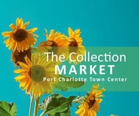 The Collection Market at PCTC - Summer