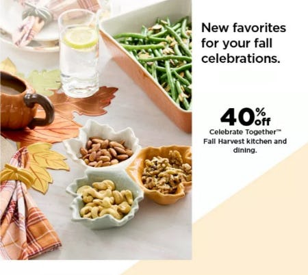 40% Off Celebrate Together Fall Harvest Kitchen and Dining