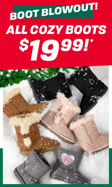 $19.99 boots
