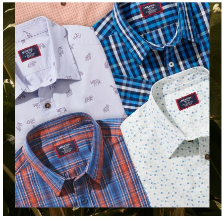 All New: Cotton Stretch Shirts