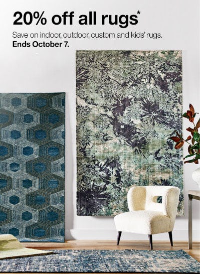 20 Off All Rugs At Crate Barrel Oakbrook Center