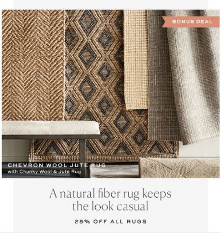 25 Off Rugs At Pottery Barn Pinnacle Hills Promenade