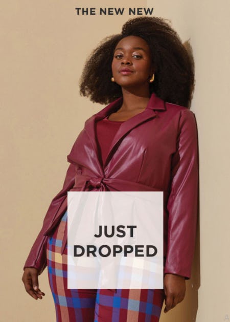 Just Dropped from Ashley Stewart