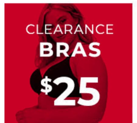 $25 Clearance Bras from Lane Bryant