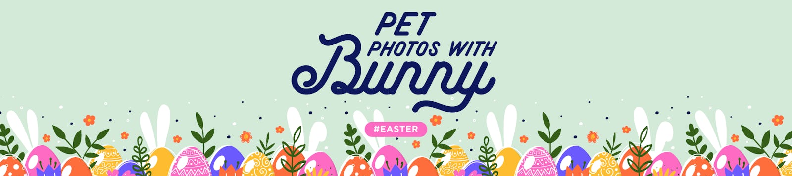 Pet Photos with Bunny