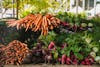Sustainable Summer: Eco-Friendly Tips for Seasonal Fun