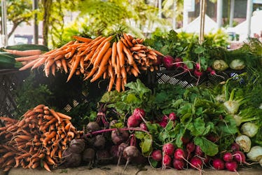 Sustainable Summer: Eco-Friendly Tips for Seasonal Fun