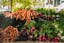 Sustainable Summer: Eco-Friendly Tips for Seasonal Fun
