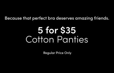 5 for $35 Cotton Panties from Torrid