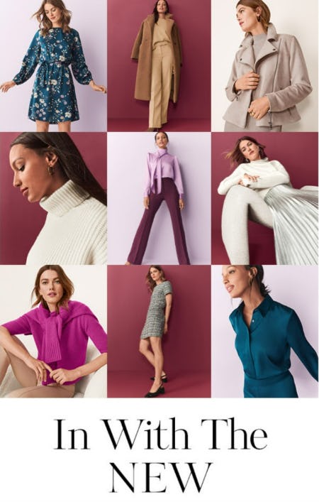 In With The New from Ann Taylor