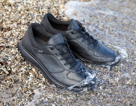 GORE-TEX Waterproof Protection from ECCO