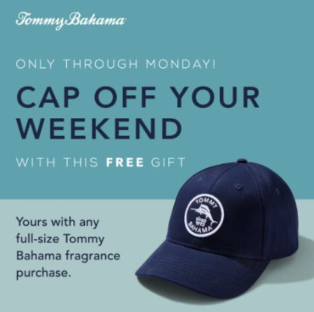 Tommy Bahama La Cantera Online -  1696242208