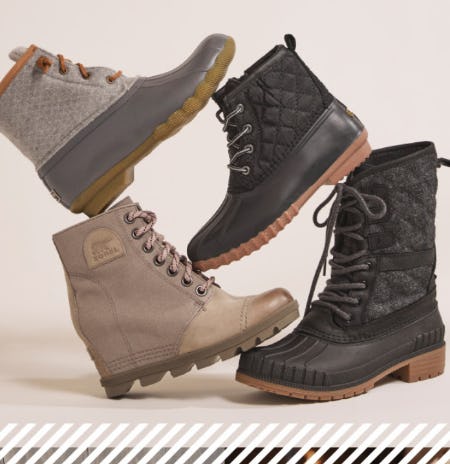 Warm and Cozy Boots from DSW Shoes