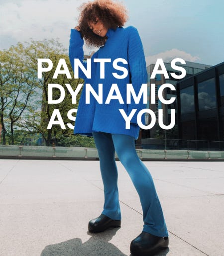 A Multiverse of Pants