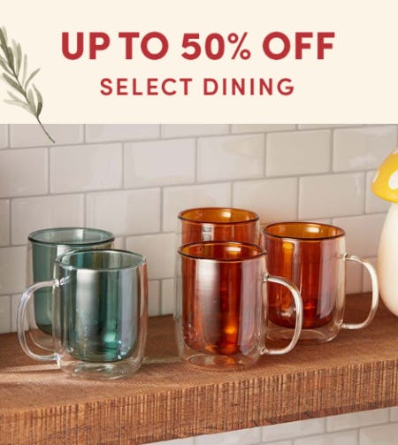 U[ to 50% Off on Select Dining from Cost Plus World Market