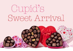 Cupid's Sweet Arrivals