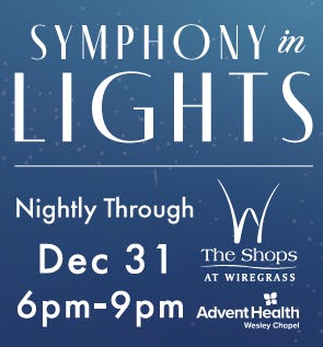 Symphony in Lights Save the Date