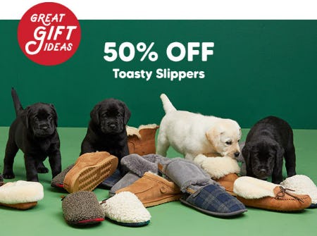 50% Off Toasty Slippers