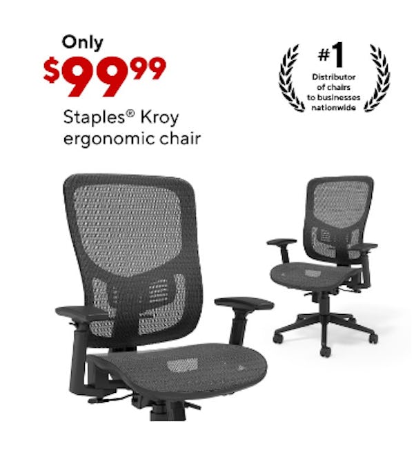 Staples Kroy Ergonomic Chair for only $99.99