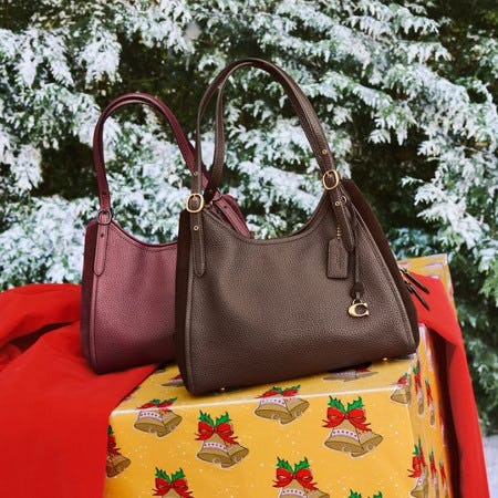 Found: Holiday Finds from Coach