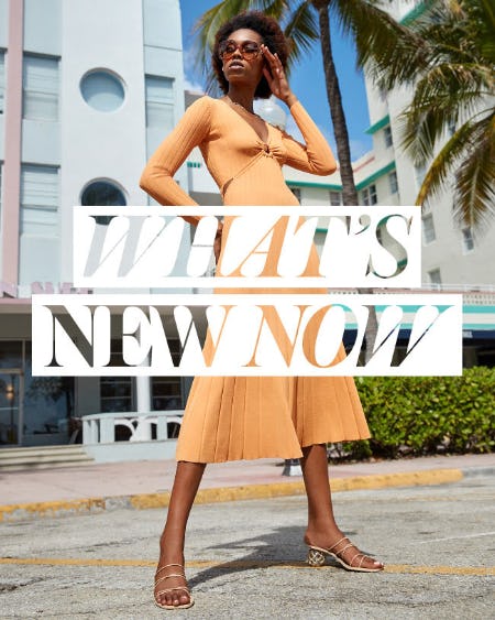 What's New Now from Bloomingdale's