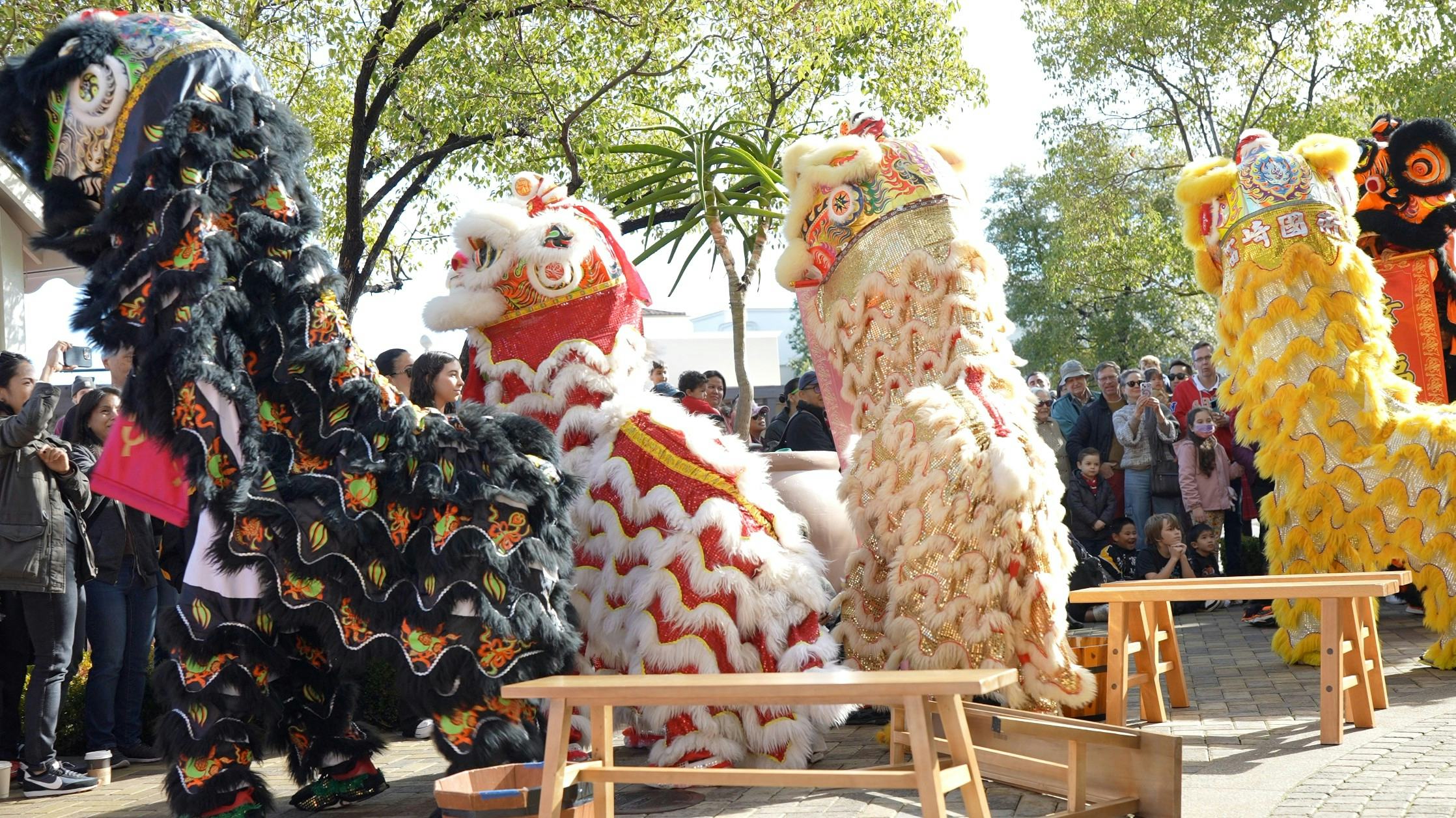 The Veranda Lunar New Year Celebration