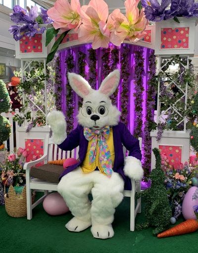 Photos with the Easter Bunny March 25 - April 8.  MarketFair is excited to welcome the Easter Bunny to his festive springtime garden in Center Court beginning March 25 at 11am.  Celebrate the time honored tradition and capture the cuteness!