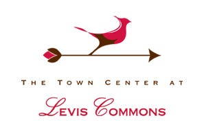 levis commons shoe stores