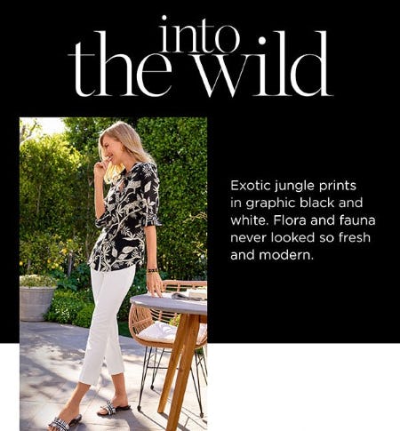 Into The Wild from Talbots