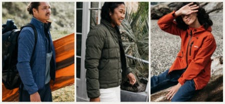 Finisterre: Born in the Icy Waters of the North Atlantic
