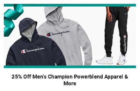 champion hoodies dicks