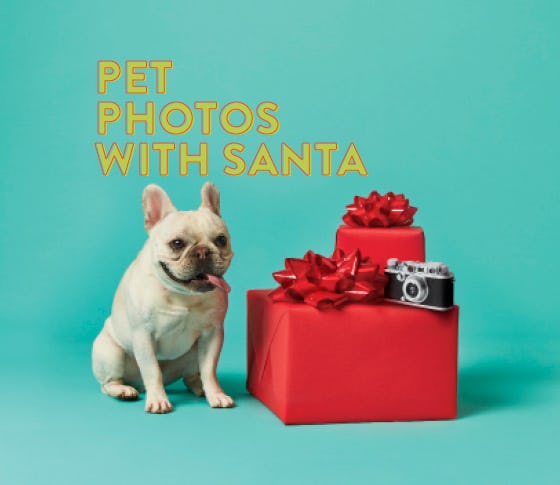 Pet Photos with Santa