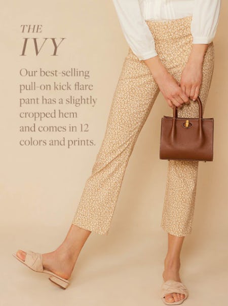 A Pant For Everybody from J. Mclaughlin