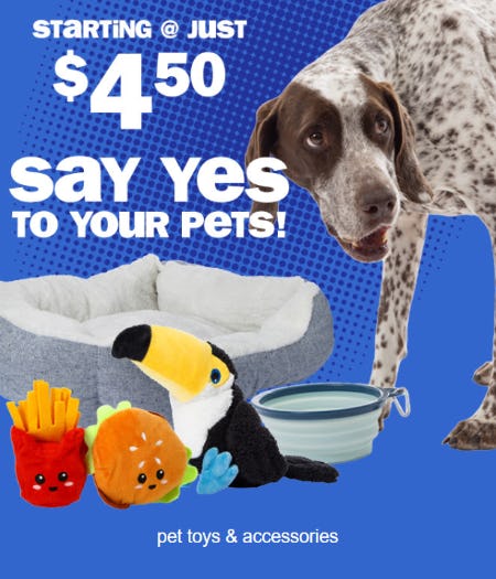 Starting at just $4.50 Pet Toys & Accessories