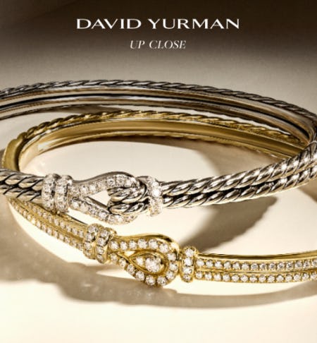 DY Up Close: Thoroughbred Loop from David Yurman
