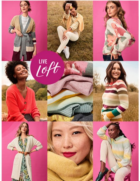 Everything's Better With a Sweater from Loft