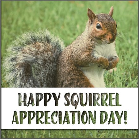 Squirrel Appreciation Day - Weekend Sale from Tradehome Shoes