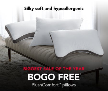 BOGO Free PlushComfort Pillows from Sleep Number                            