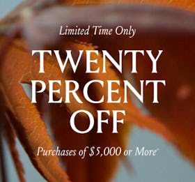 Twenty Percent Off Purchases of $5,000 or More