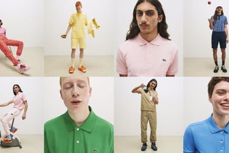 Lacoste new season 2020 Clearance