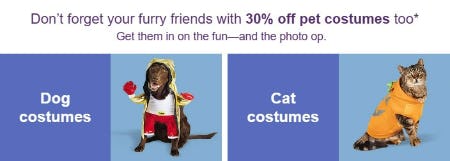 30% Off Pet Costumes