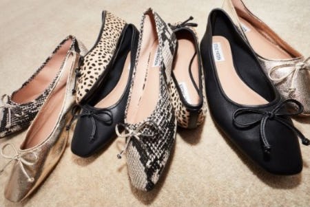 lord and taylor steve madden shoes