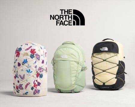 Best-In-Class Bags from The North Face