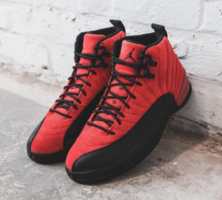 dtlr jordan 12